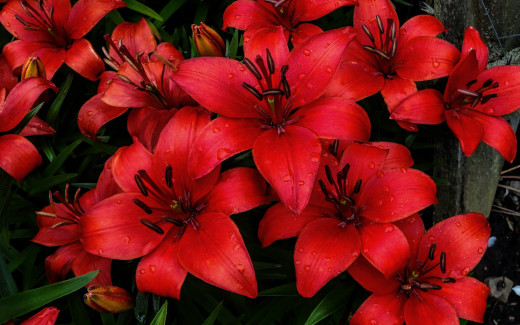1667963 (a): :2560x1600